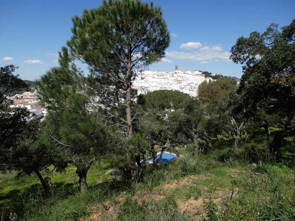 Alojamiento Rural El Lario Apartamento Alcalá de los Gazules Exterior foto